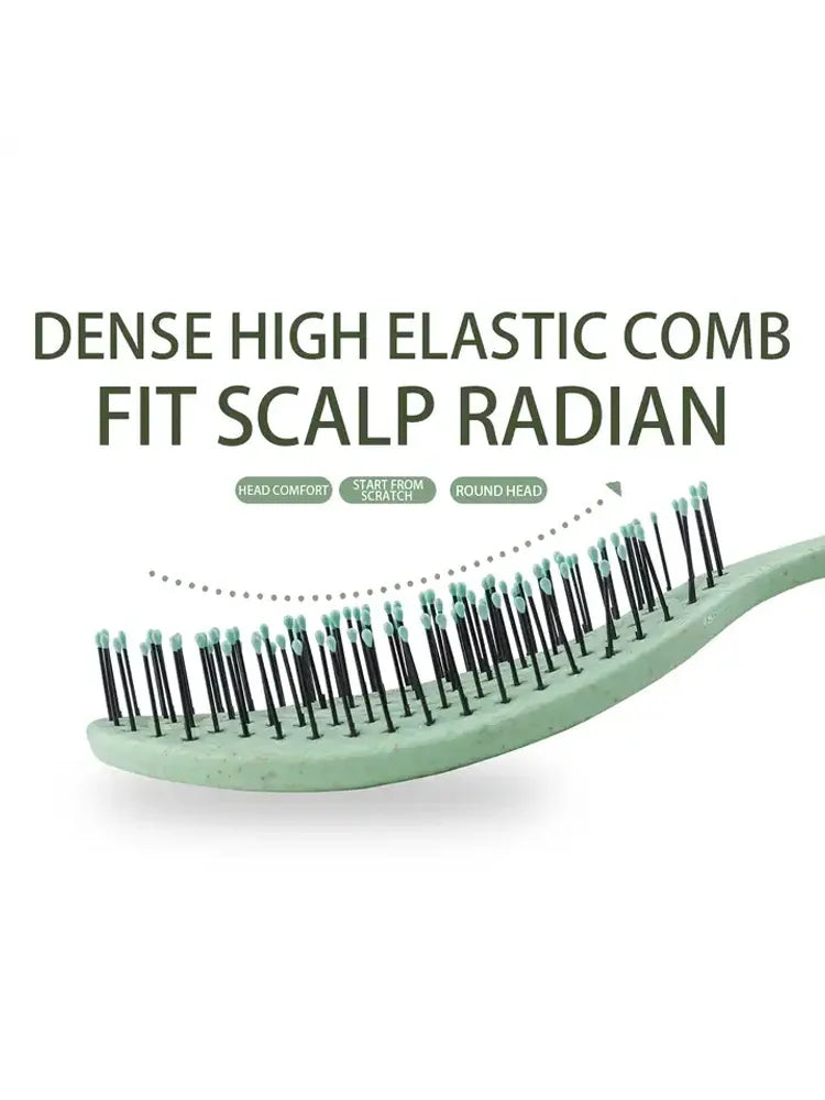 Hair Massage Comb Bristle Nylon Hairbrush Curly Detangle Hair Brush for Salon Hairdressing Tools