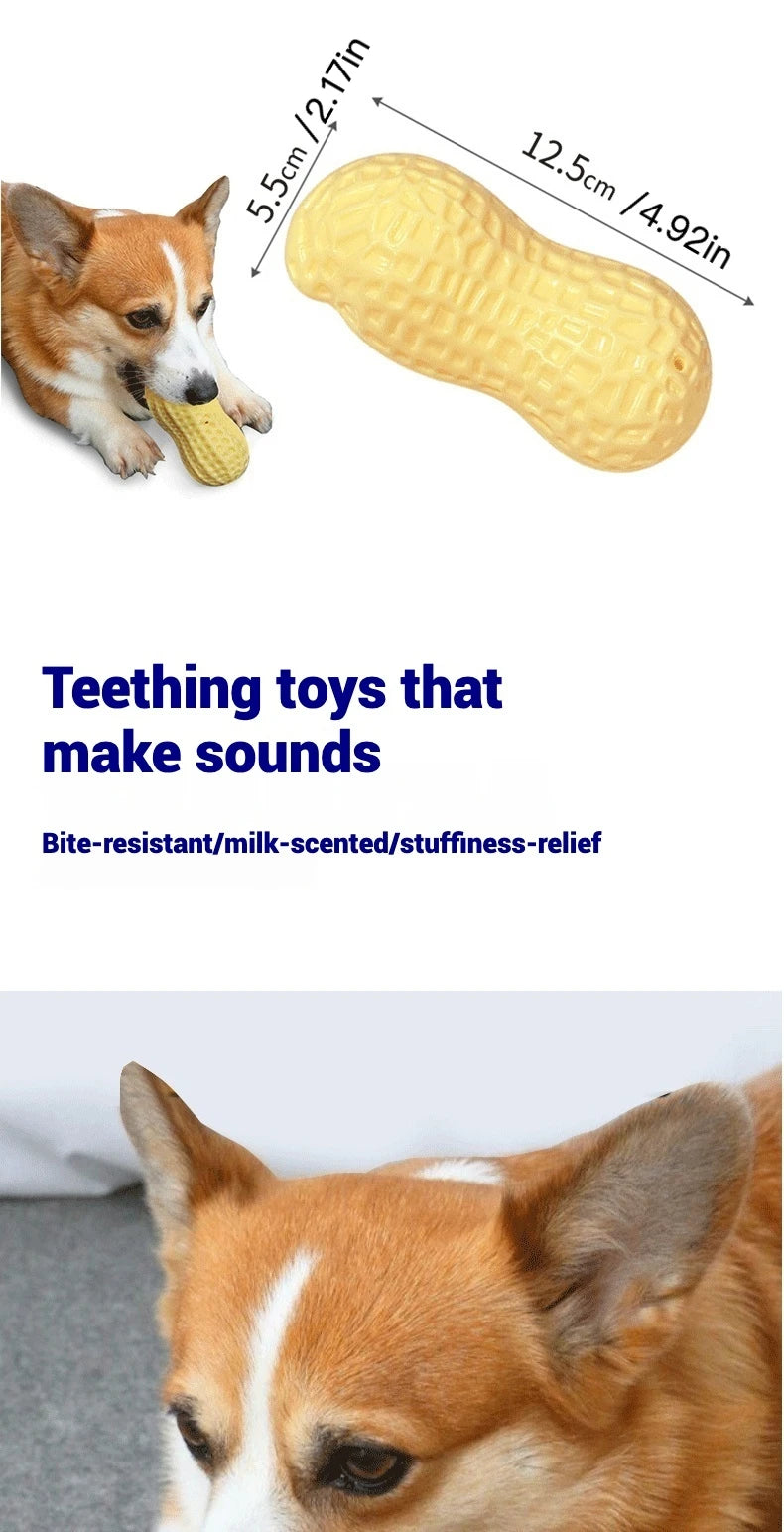 Pet Toys TPR Simulation Peanut Sound Toy Vegetable Series Dog Toys Dog Play Interactive Teeth Grinding Pet Supplies