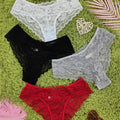 4 Pcs Women's Elegant Sheer Jacquard Lace Bikini Panties, Mid Stretch Low Waist Panties, Women's Lingerie & Underwear